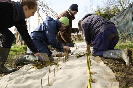 Plantation Osier 21 Fevrier 2026, _BBB7285