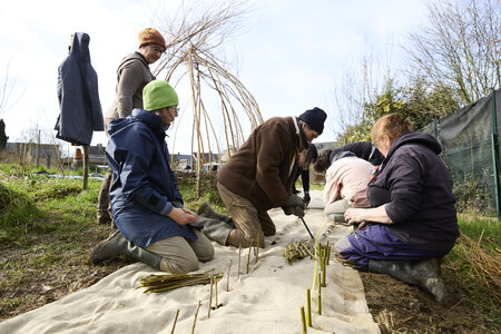 Plantation Osier 21 Fevrier 2026, _BBB7287