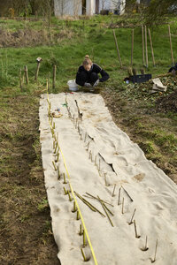 Plantation Osier 21 Fevrier 2026, _BBB7288