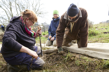 Plantation Osier 21 Fevrier 2026, _BBB7291