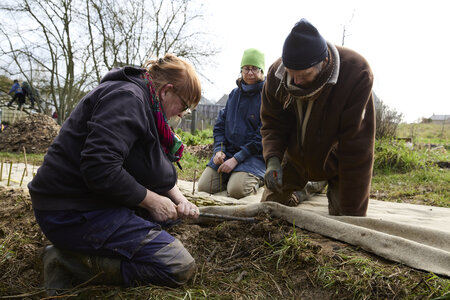 Plantation Osier 21 Fevrier 2026, _BBB7292