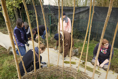 Plantation Osier 21 Fevrier 2026, _BBB7307