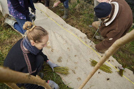 Plantation Osier 21 Fevrier 2026, _BBB7309
