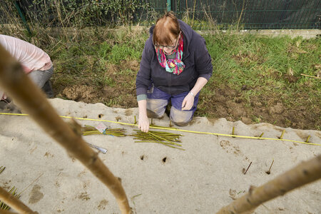 Plantation Osier 21 Fevrier 2026, _BBB7316