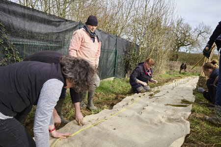 Plantation Osier 21 Fevrier 2026, _BBB7317