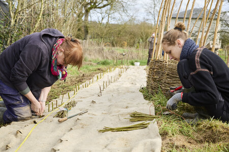 Plantation Osier 21 Fevrier 2026, _BBB7319