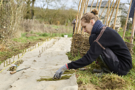 Plantation Osier 21 Fevrier 2026, _BBB7320