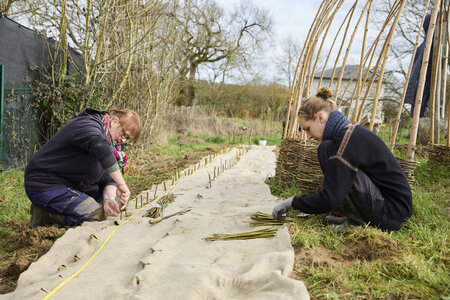 Plantation Osier 21 Fevrier 2026, _BBB7321