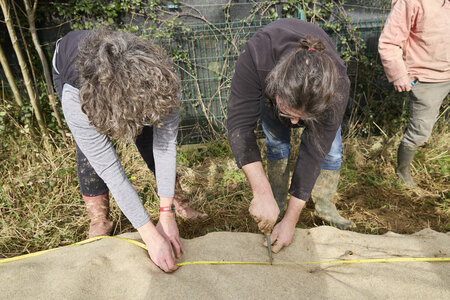 Plantation Osier 21 Fevrier 2026, _BBB7327