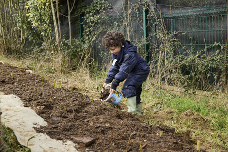 Plantation Osier 21 Fevrier 2026, _BBB7334