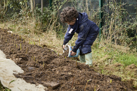Plantation Osier 21 Fevrier 2026, _BBB7336