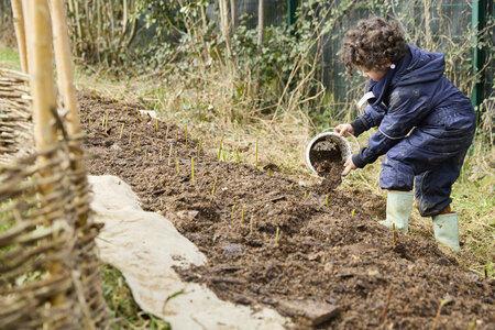 Plantation Osier 21 Fevrier 2026, _BBB7339