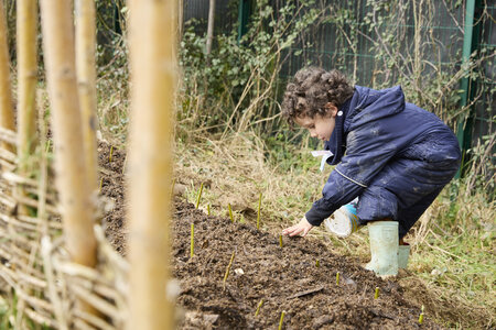 Plantation Osier 21 Fevrier 2026, _BBB7342