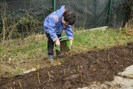 Plantation Osier 21 Fevrier 2026, _BBB7347