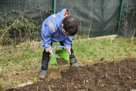 Plantation Osier 21 Fevrier 2026, _BBB7348