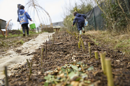 Plantation Osier 21 Fevrier 2026, _BBB7354