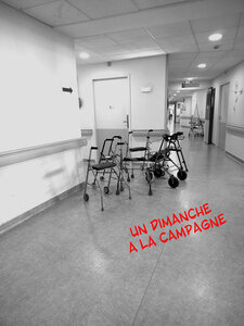 Manifestes, un dimanche