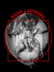 Manifestes, Ecce Lapinou