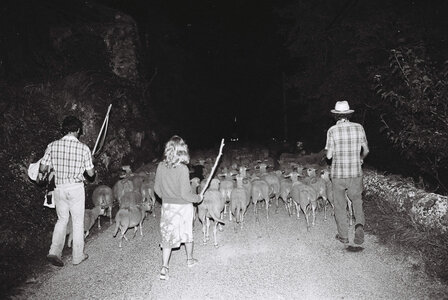 70', Transhumance Ardeche