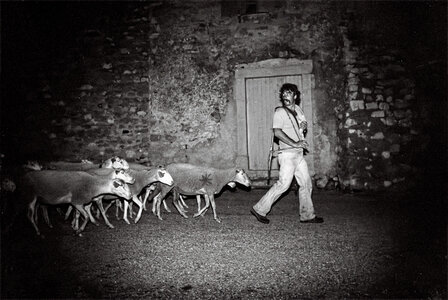 70', Transhumance Ardèche