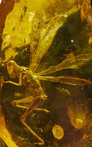 Confinement , Jour 10