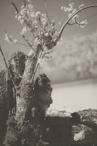 Confinement , Jour 16