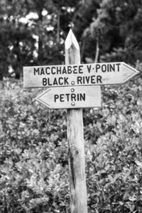 Confinement , Jour 38