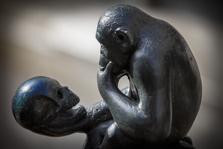 Confinement , Jour 40