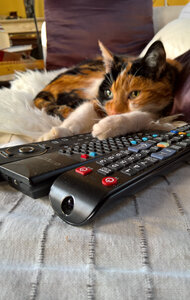 Confinement , Jour 48