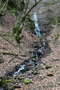 MONT DORE 03 2026, DSC_9581