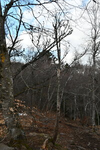 MONT DORE 03 2026, DSC_9584