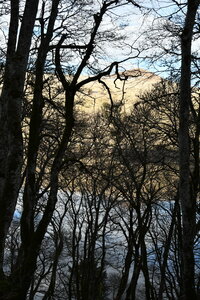 MONT DORE 03 2026, DSC_9588