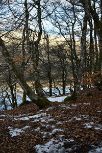 MONT DORE 03 2026, DSC_9590