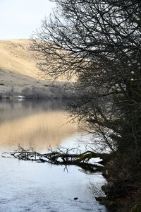 MONT DORE 03 2026, DSC_9592