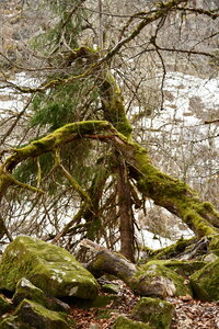 MONT DORE 03 2026, DSC_9595