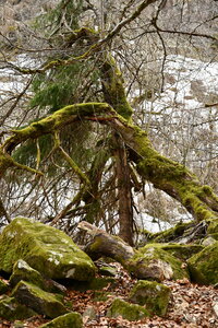 MONT DORE 03 2026, DSC_9596