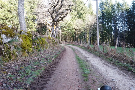 100 2603, 2026-03-04_0002