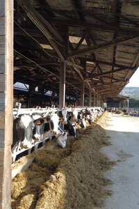 100 2603, 2026-03-04_0003