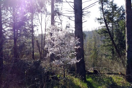 100 2603, 2026-03-04_0006