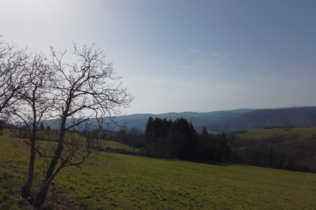 100 2603, 2026-03-04_0011