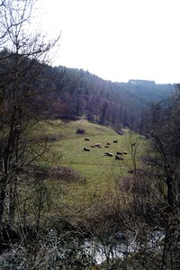 100 2603, 2026-03-04_0013