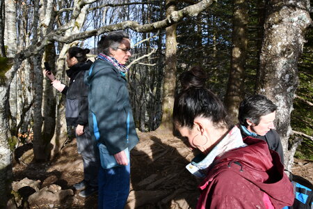 MONT DORE 03 2026, DSC_9610