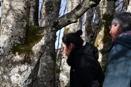 MONT DORE 03 2026, DSC_9614