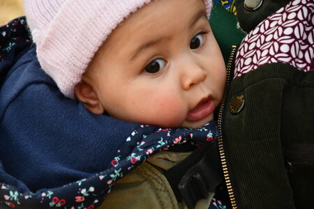 MONT DORE 03 2026, DSC_9617