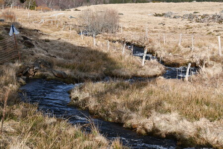 MONT DORE 03 2026, DSC_9629