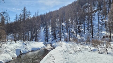 Clarée 2026, 20260228_112824