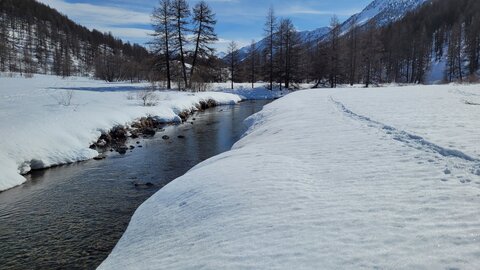 Clarée 2026, 20260228_112627