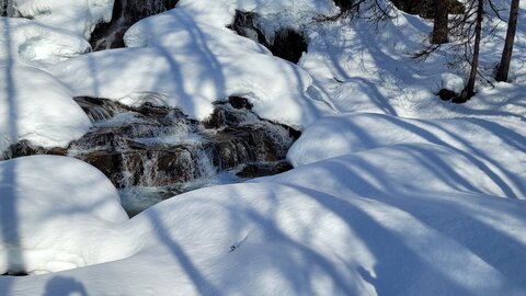 Clarée 2026, 20260228_100719