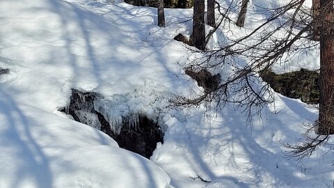 Clarée 2026, 20260228_100636