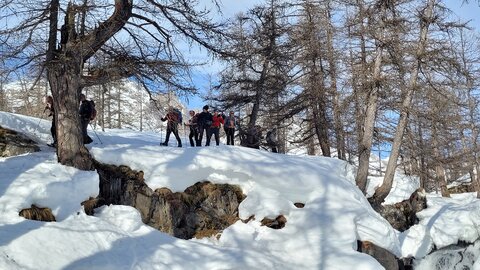 Clarée 2026, 20260228_100540